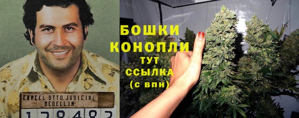 прущий лед Вязьма
