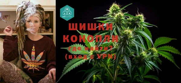 прущий лед Вязьма