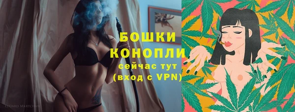 прущий лед Вязьма